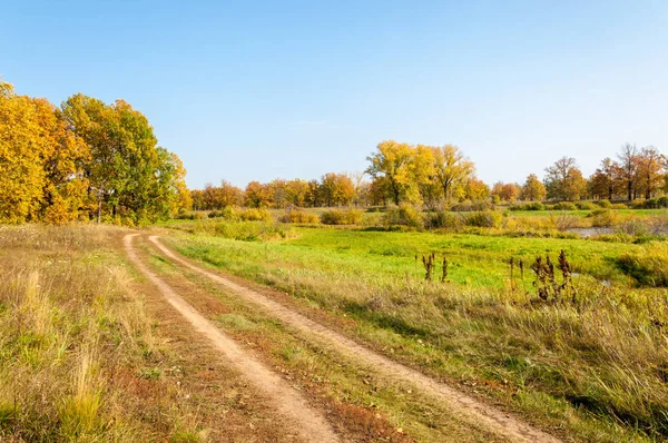Güz, yolun ortasında meşe ormanı