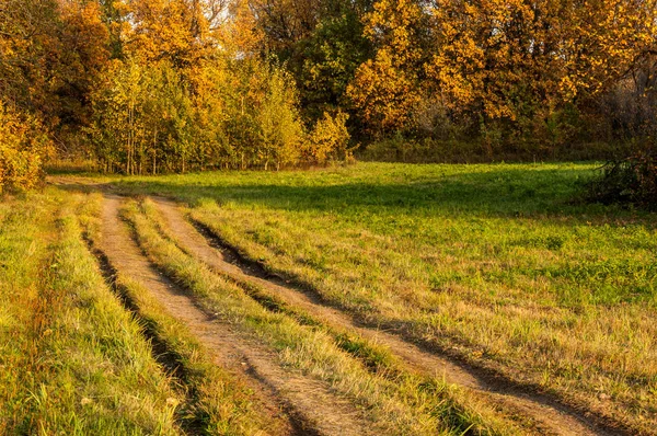 A estrada no outono, na floresta de carvalho — Fotografia de Stock
