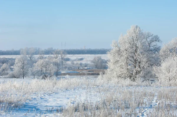 Zimní Fotografie Mlha Nad Řekou Stromy Chrastítku — Stock fotografie
