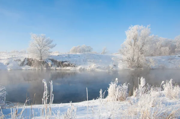 Vinterfotografi Dimma Över Floden Träd Hjorfrost — Stockfoto