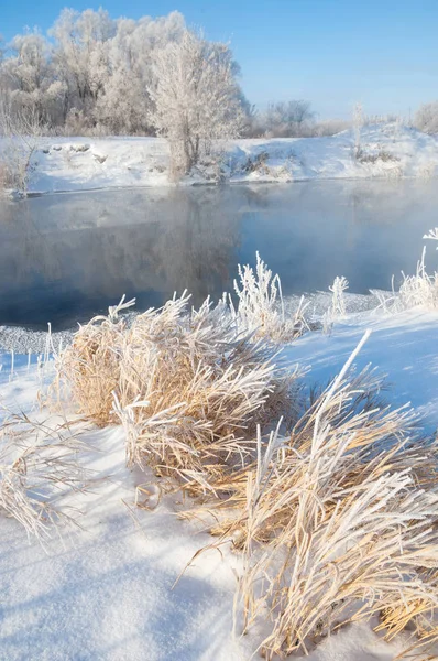 Zima, zimní příliv, zimní čas — Stock fotografie