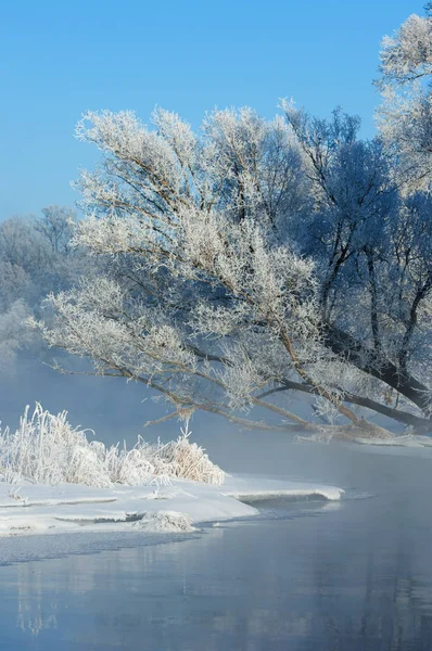 Winter, winter-tide, winter-time — Stock Photo, Image