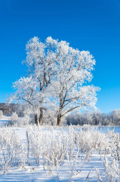 Tél, téli dagály, téli időszak — Stock Fotó