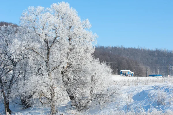 Inverno, inverno-maré, inverno-tempo — Fotografia de Stock