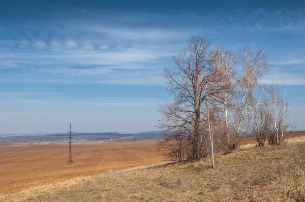 Bahar manzarası, son kar. Tarlalar tohum için hazır.
