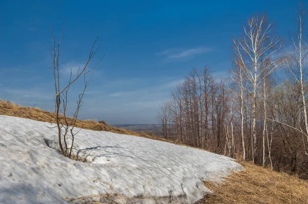 Wiosenny krajobraz, ostatni śnieg. Pola są gotowe do siewu. — Zdjęcie stockowe