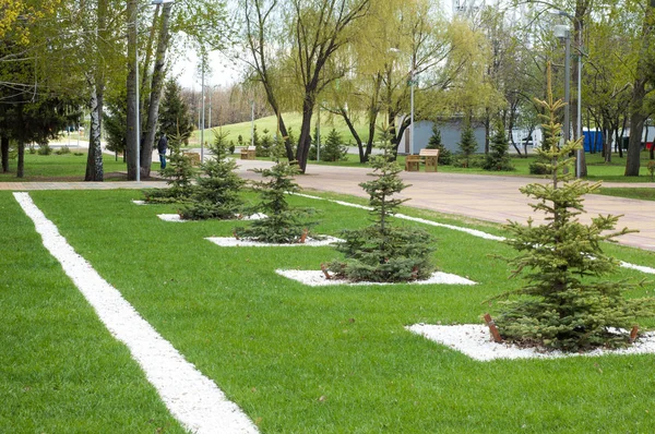 Arkaplan resminin dokusu, ilkbahar kentsel manzarası