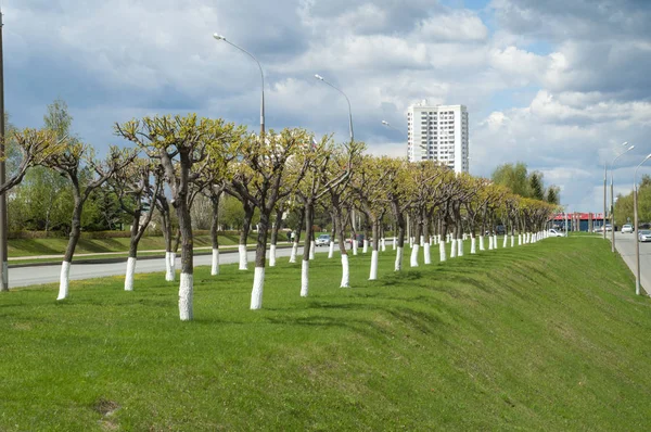Arkaplan resminin dokusu, bahar kentsel manzarası, şehir