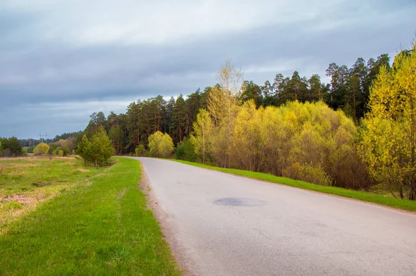 Bahar manzarası, gün doğumu. Bir köy yolu, kırsal bir arazi.