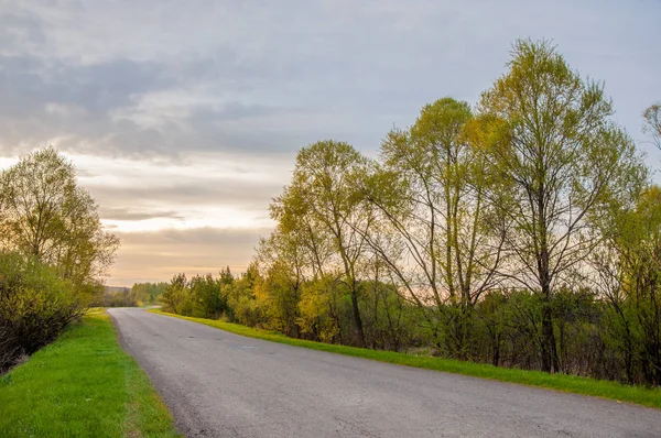 Bahar manzarası, gün doğumu. Bir köy yolu, kırsal bir arazi.