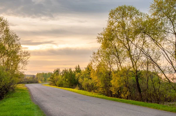 Bahar manzarası, gün doğumu. Bir köy yolu, kırsal bir arazi.