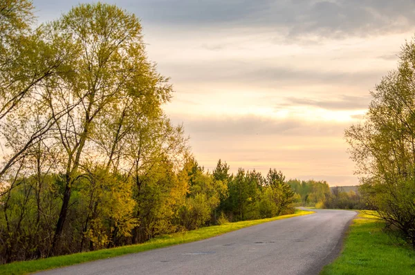 Bahar manzarası, gün doğumu. Bir köy yolu, kırsal bir arazi.