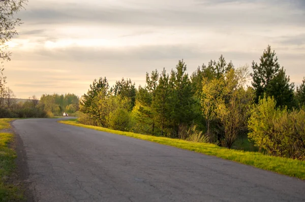 Bahar manzarası, gün doğumu. Ağaçlı çayır, kırsal arazi