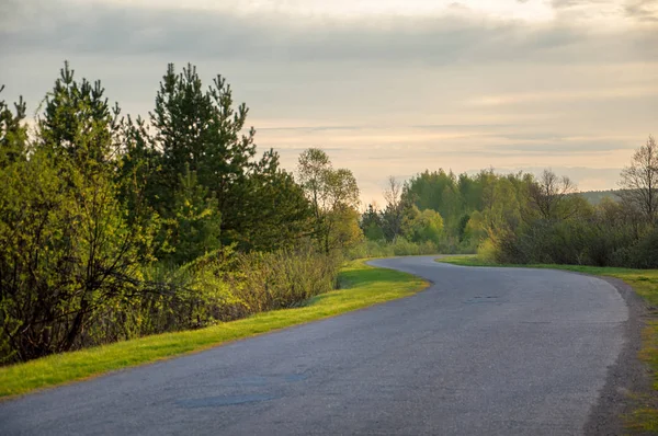 Bahar manzarası, gün doğumu. Ağaçlı çayır, kırsal arazi