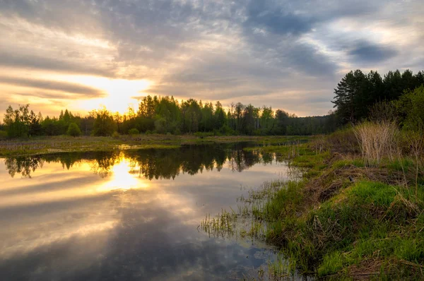 Bahar yemekleri. Bataklıklı güzel bir bahar manzarası, Sunr.