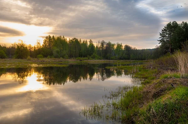 Bahar yemekleri. Bataklıklı güzel bir bahar manzarası, Sunr.