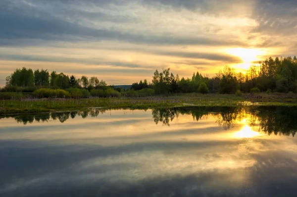Bahar yemekleri. Bataklıklı güzel bir bahar manzarası, Sunr.