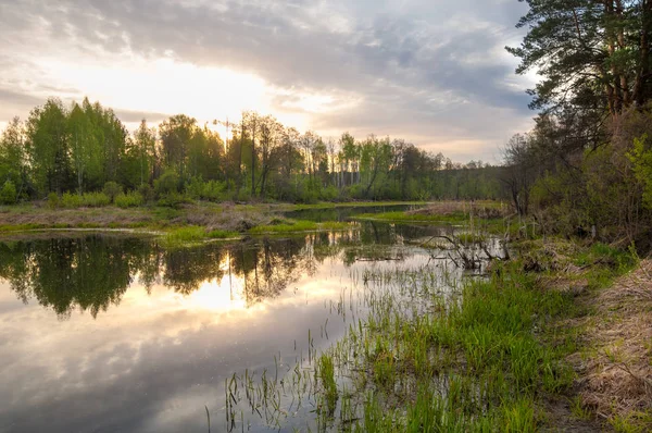 Bahar yemekleri. Bataklıklı güzel bir bahar manzarası, Sunr.