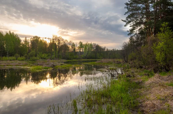 Bahar yemekleri. Bataklıklı güzel bir bahar manzarası, Sunr.