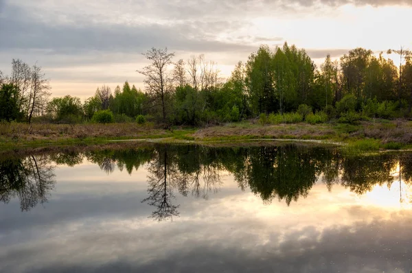 Bahar yemekleri. Bataklıklı güzel bir bahar manzarası, Sunr.