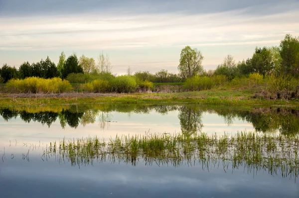 Catering de primavera. Un hermoso paisaje primaveral con un pantano, Sunr — Foto de Stock