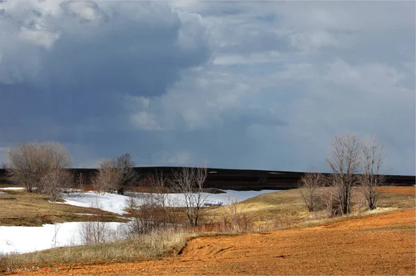 Spring photography, the last snow-white snow, nature wakes up from winter frosts,