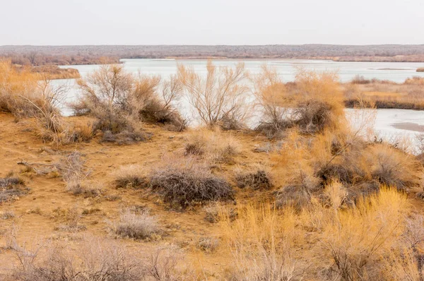 River in spring steppe — Stock Photo, Image