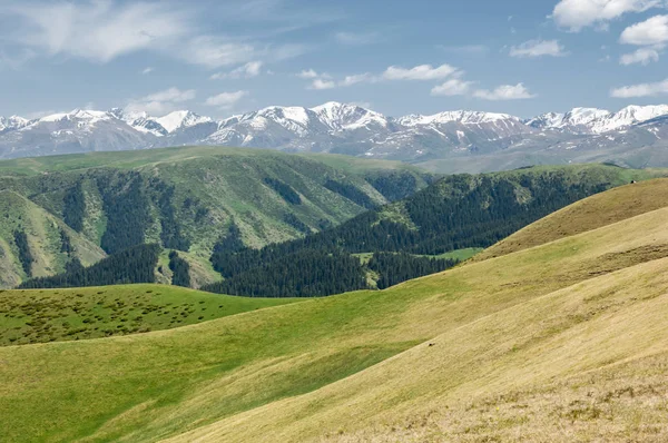 Góra, Góra, wzgórze — Zdjęcie stockowe