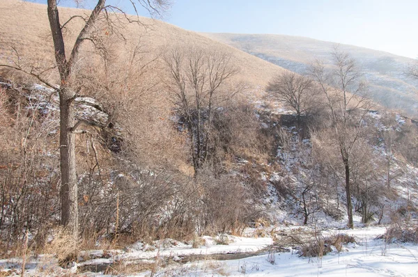 Neige fondue de printemps — Photo