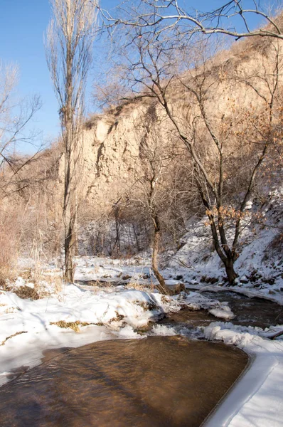 Fjäderslask — Stockfoto