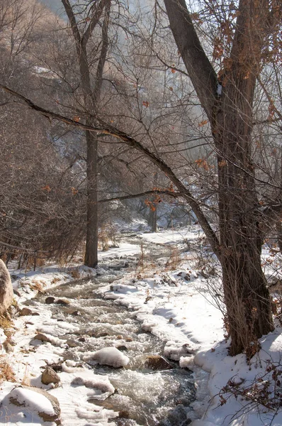 Neige fondue de printemps — Photo