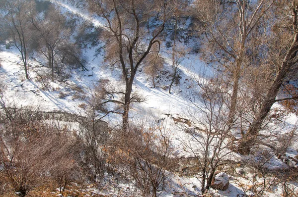 Neige fondue de printemps — Photo