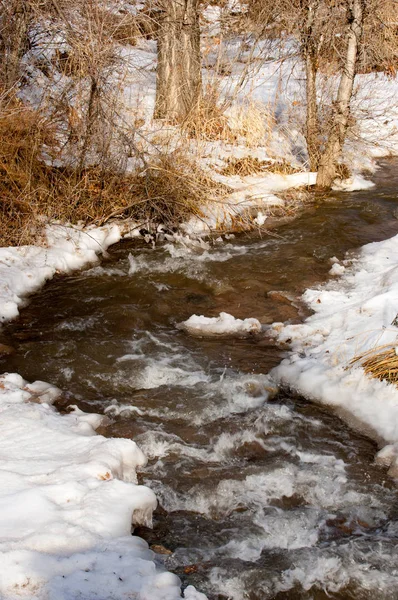 Spring Creek — Stok fotoğraf