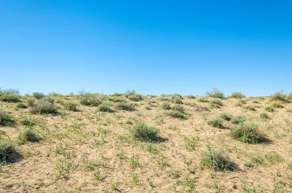 Printemps du désert des sables — Photo