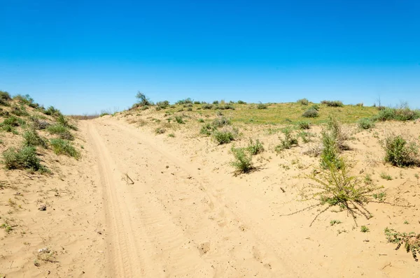 Kumlar Çöl Pınarı