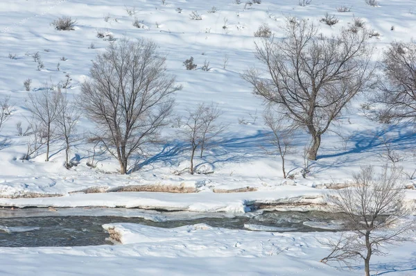 Fjäderslask — Stockfoto