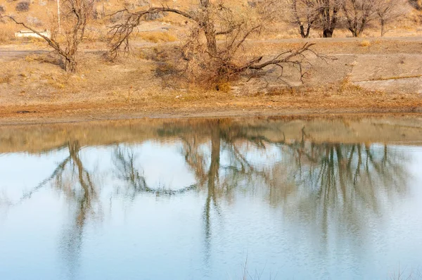 Steppe — Stock Image Steppe Royalty Free Stock Photos