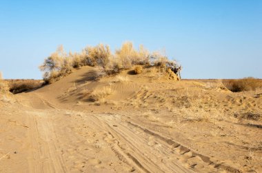 Bahar fotoğrafçılığı, uzun çimenli ağaçsız bozkır bozkırları, çayırlık, veld, veldt