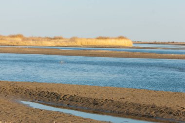 Bahar bozkırında nehir