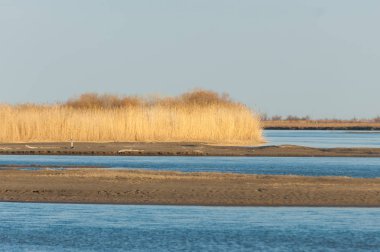 Bahar bozkırında nehir