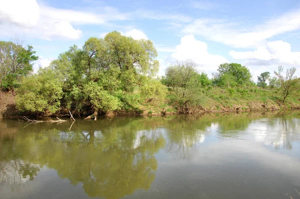 Bahar Nehri,, ağaç bahar güneş büyür..