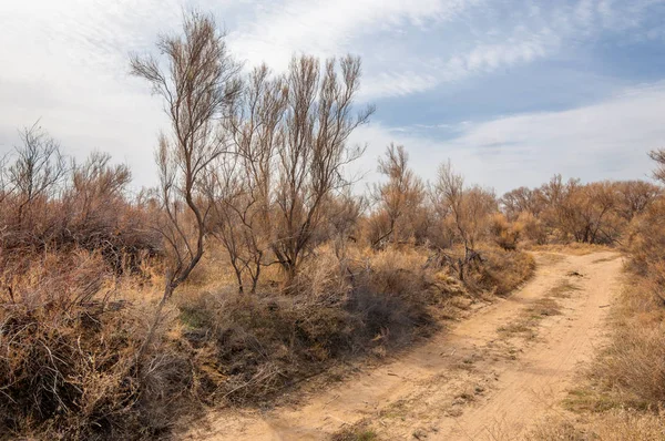 Steppe — Stock Image Steppe Royalty Free Stock Photos