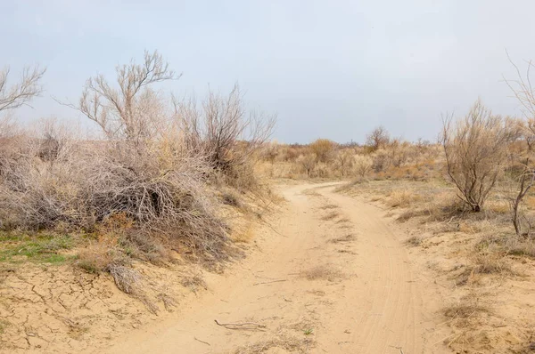 Steppe — Stock Image Steppe Stock Photo