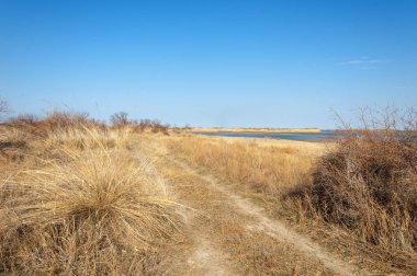 Bahar fotoğrafçılığı, uzun çimenli ağaçsız bozkır bozkırları, çayırlık, veld, veldt