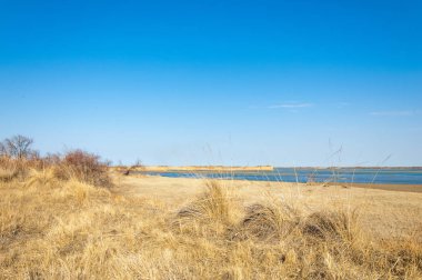 Bahar fotoğrafçılığı, uzun çimenli ağaçsız bozkır bozkırları, çayırlık, veld, veldt