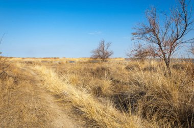 Bahar bozkırında nehir