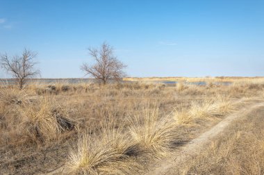Bahar bozkırında nehir