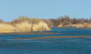 Bahar bozkırında nehir