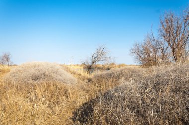 Bahar bozkırında nehir