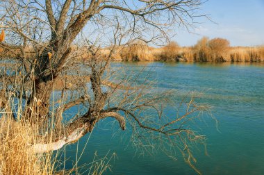 Bahar bozkırında nehir